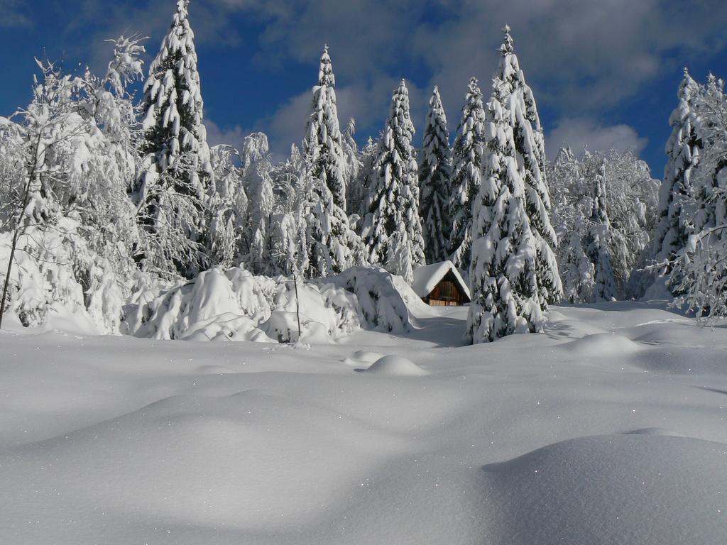 Hiska Henrik Zalokar Apartment Bohinj Exterior foto