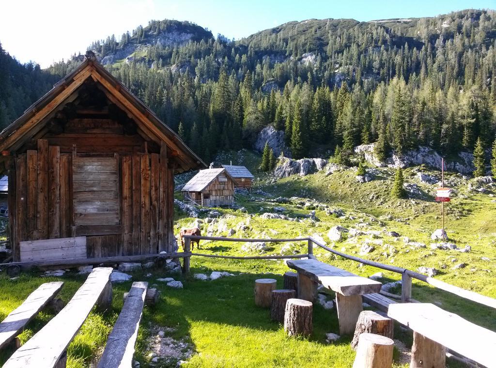 Hiska Henrik Zalokar Apartment Bohinj Cameră foto