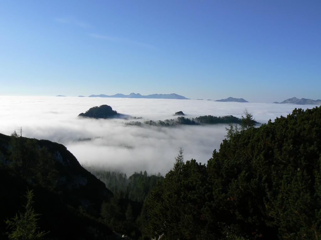 Hiska Henrik Zalokar Apartment Bohinj Cameră foto