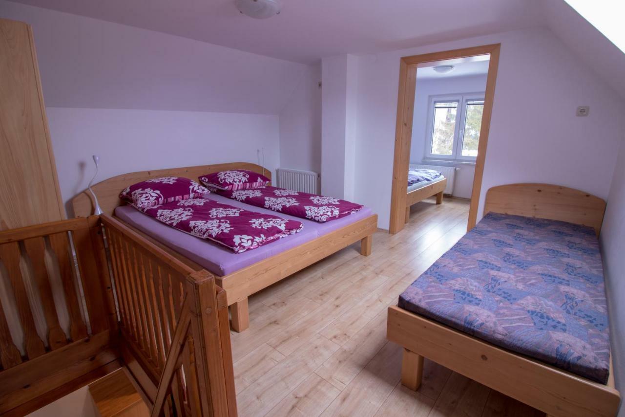 Hiska Henrik Zalokar Apartment Bohinj Exterior foto